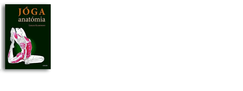 Jóga könyvek Karácsonyra - Yogabazaar