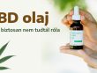 CBD olaj - Amit biztosan nem tudtál róla